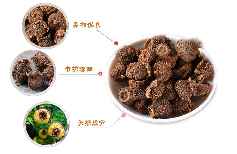 Ci Li Fruit (Rosa roxburghii) — Dried Guizhou Thorny Rose Fruit, Food-Herb Botanical key features