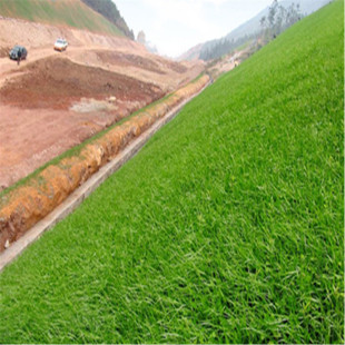 �S��ֱ�N�o�°�ϲ�ݷN���o�¹����ӵ��ܵ���·�G��Ʒ�N�Rȫ����