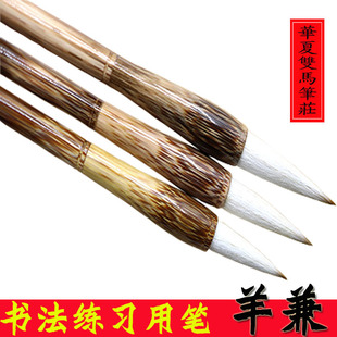 ���W�߼������ë�P����С�����������������W��ܛ�Pë�P