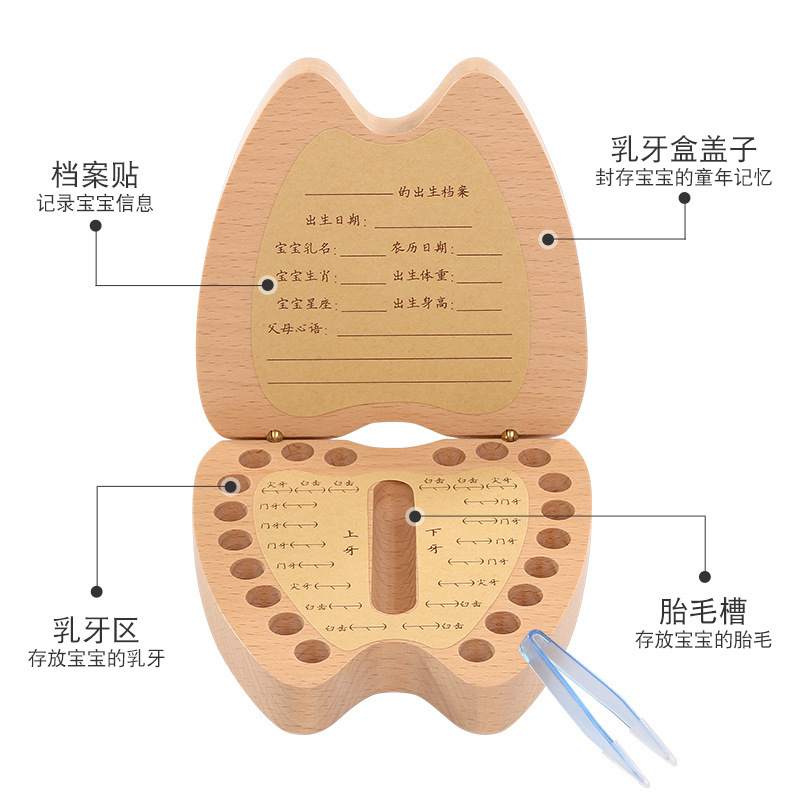 ハンサムな犬の木製の乳歯は子供のかわいい歯を交換します。|undefined