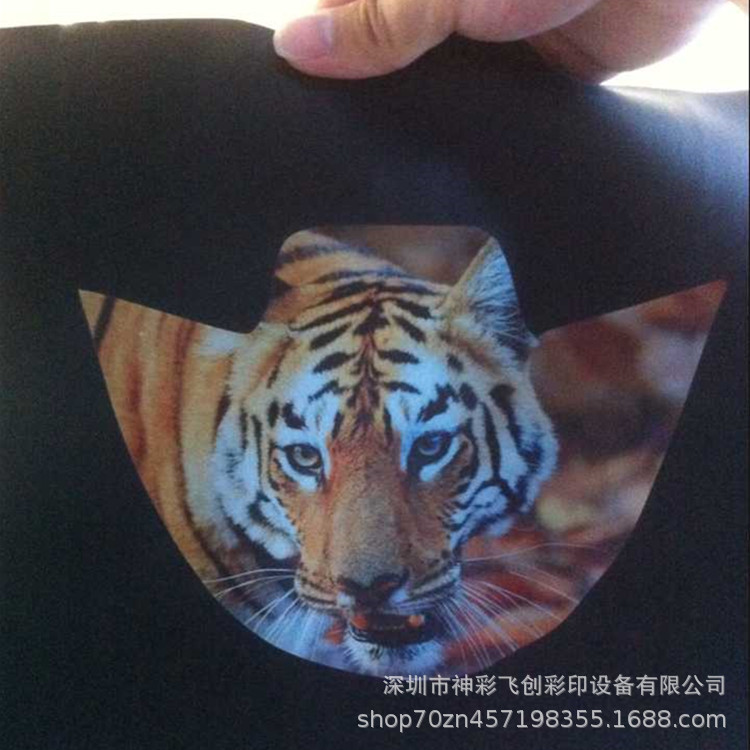 C6810CDB800DD4BF0F7A82170B3102