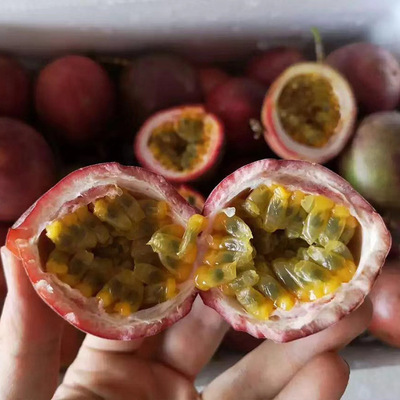 廣西百香果5斤西番蓮批發大量現貨支持壹件代發非滿天星黃金百香