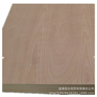 �S��ֱ�N������ӌ�ľ��������B��18mm�h��E0����z�ϰ�֧�ֲ���