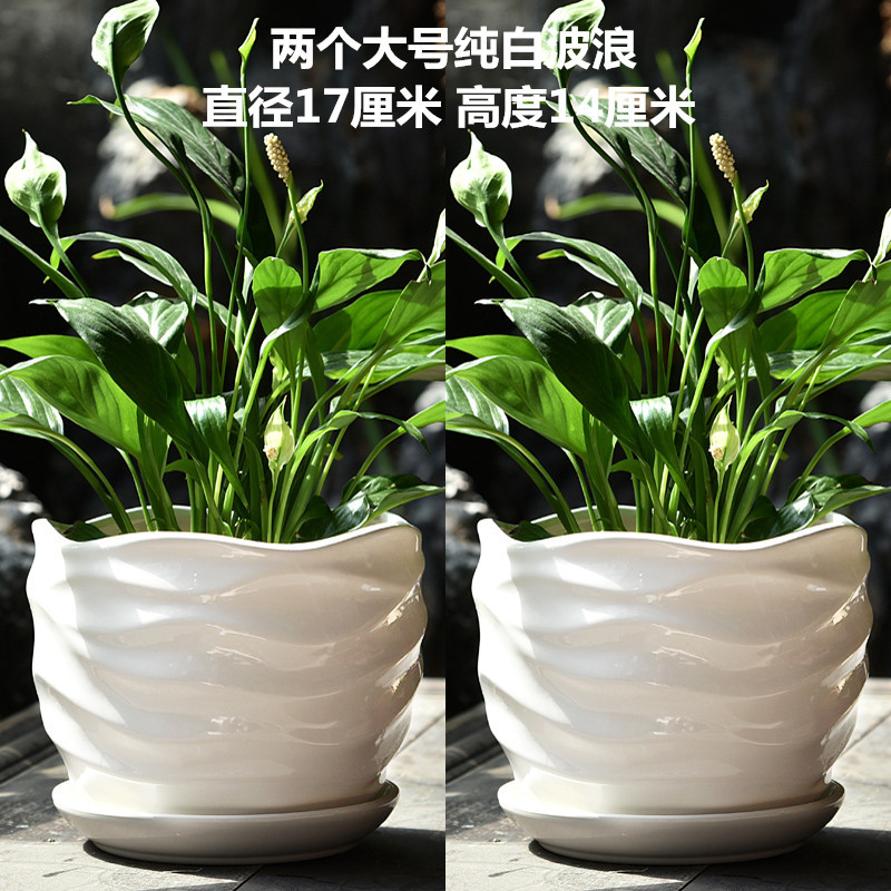 纯白波浪_副本.jpg