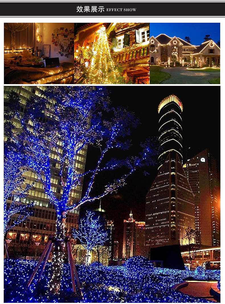 8562595199_1241356606