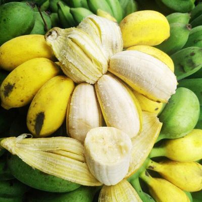 广西小米蕉产地现摘直发  净重5斤/9斤 新鲜包邮水果小香蕉皇帝蕉|ms