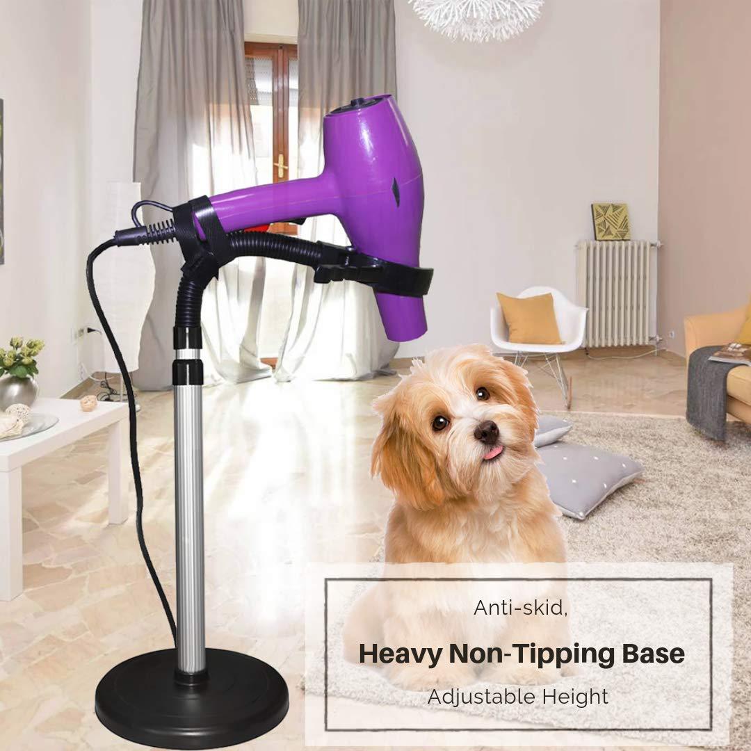 61p6DezOy1L._SL1080_