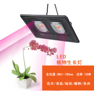 Cross border Botany Grow lights Led Full Spectrum 100W waterproof flowers and plants Vegetables grow seedlings Basement Lifting Plant Lights