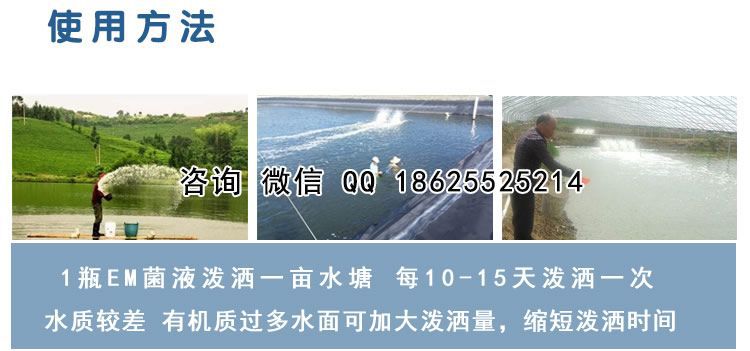 水产复合EM菌使用案例