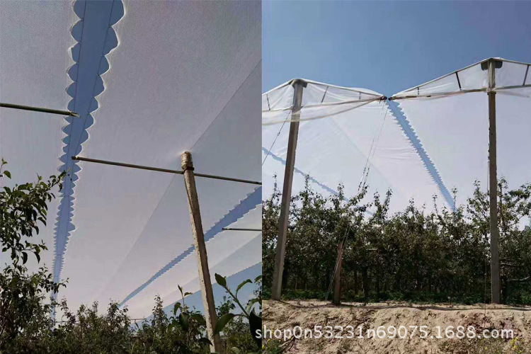 TB2jhQlX.gQMeJjy0FgXXc5dXXa_!!