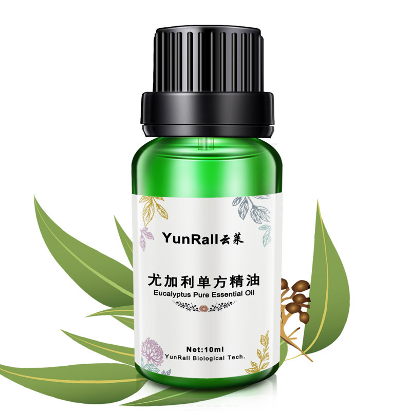 雲萊澳洲尤加利單方精油10ml 香薰精油 原料批發跨境OEM廠家直銷