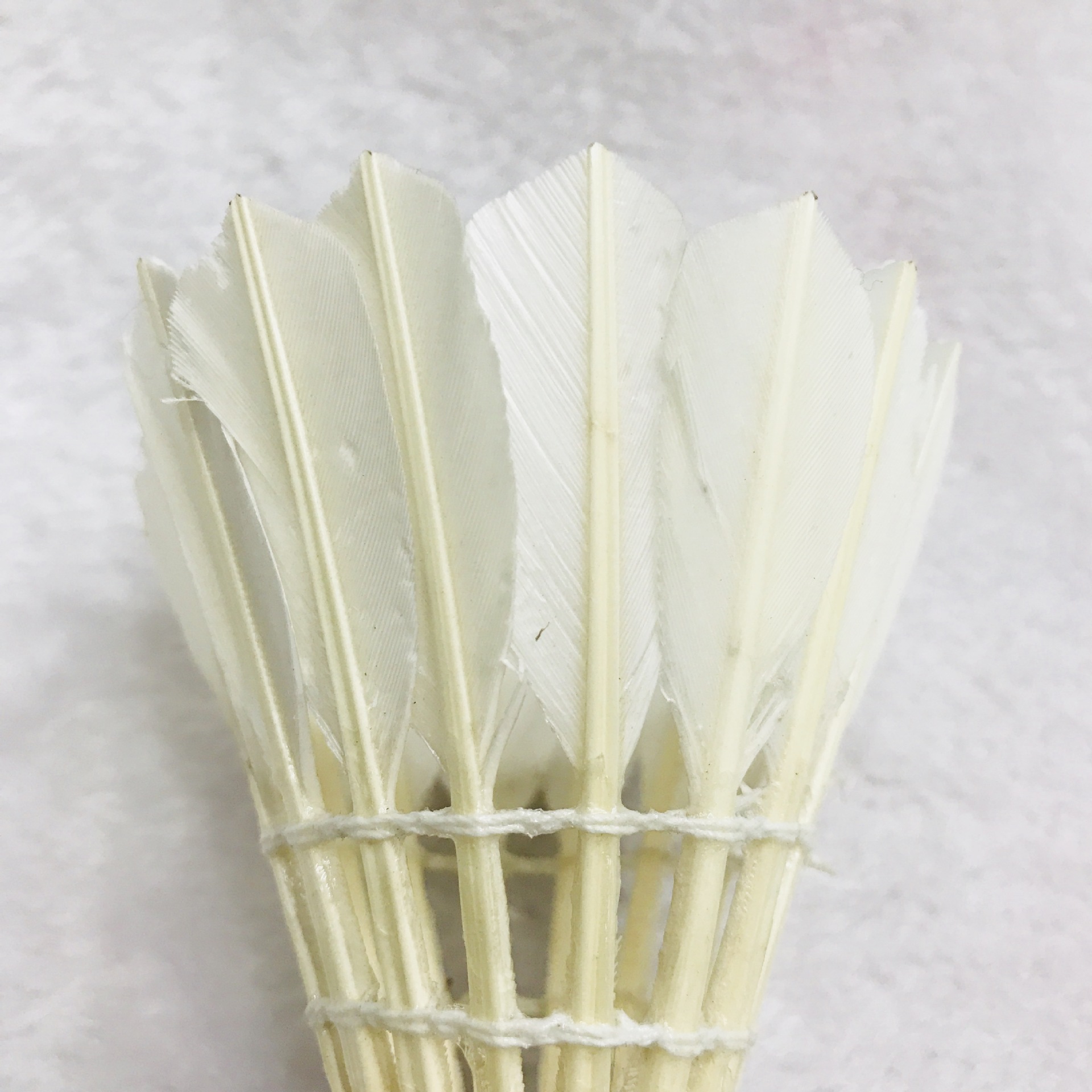 IMG_3125(20180305-112309)