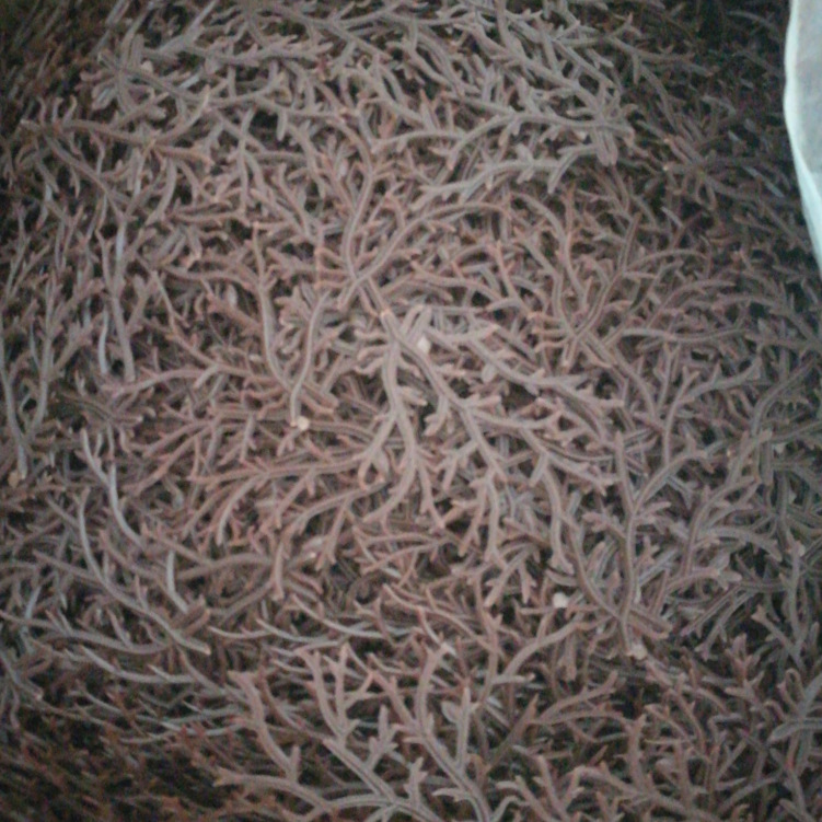 QQ截图20180815123112