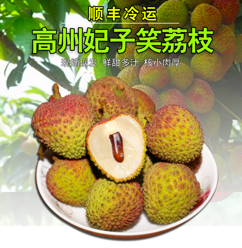Feizixiao Litchi Guangdong Maoming Gaozhou fresh Season pregnant woman Fruit 5 Full container On behalf of