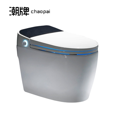 潮牌全自动进口一体式智能马桶家用坐便器座便电动冲水即热无水箱|ru