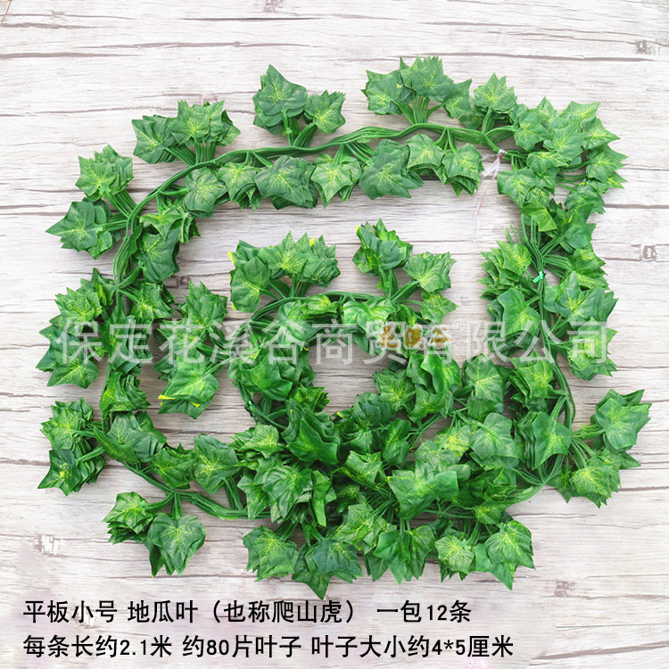 平板小号地瓜叶.jpg