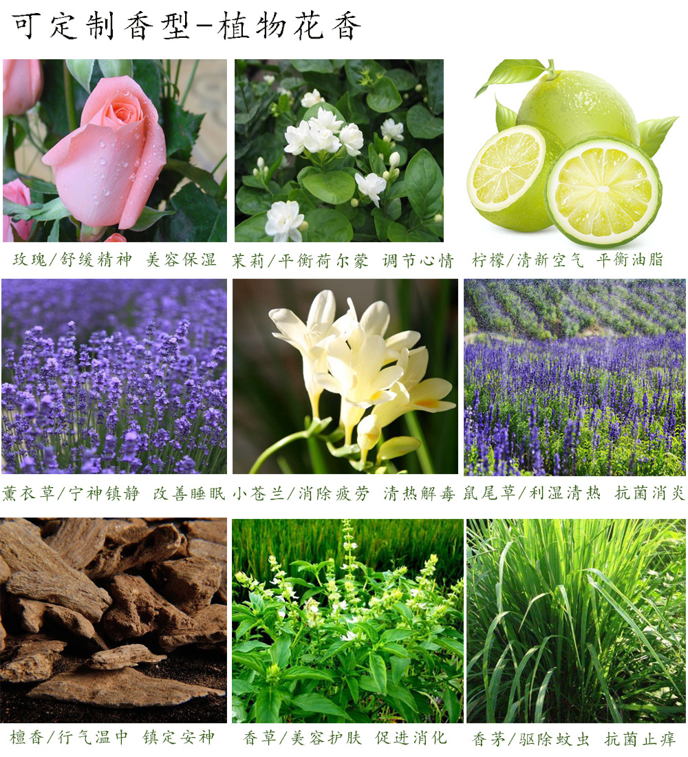 可定制植物花香型1.jpg