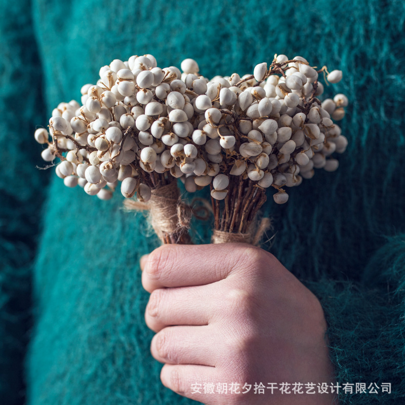 冬菇草天然干花干果花束小白果乌桕树子山区天然干果清新拍摄道具|ms