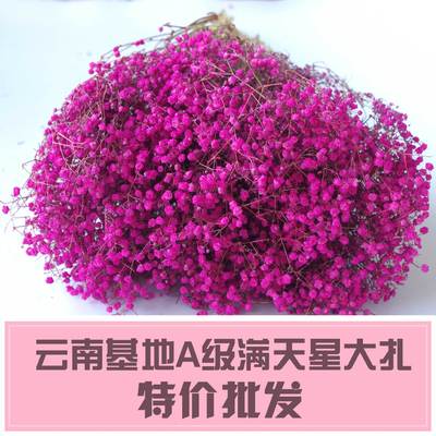 云南干花批发 满天星花束 教师节礼物 干花花束批发厂家直销|ms