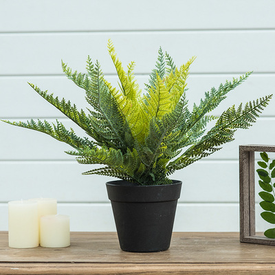 大号波叶草婚庆装饰仿真花植物墙绿植墙植物叶子仿真波斯叶波斯草