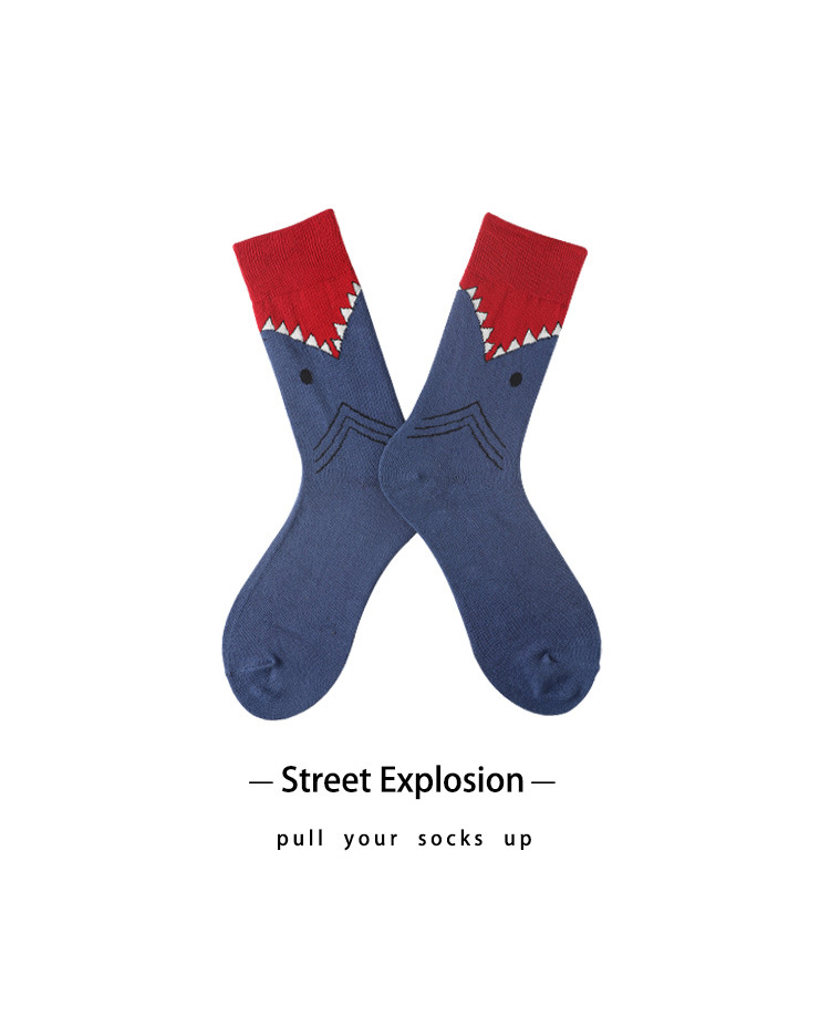 9496035717 502738861