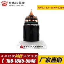 ����Ӎ ��������ϩ�^�������| YJV22-8.7/15KV-3X50 �~��|