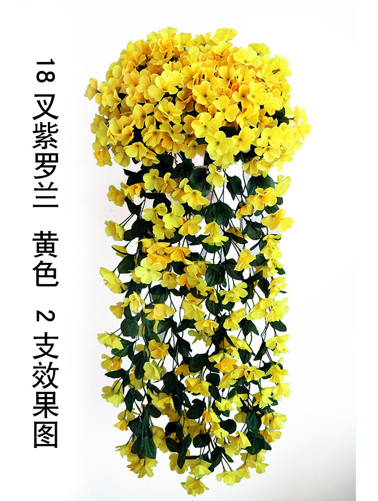 18叉紫罗兰 黄色