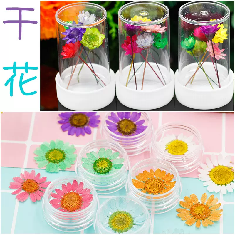 干花材料包 diy水晶滴胶素材填充材料干花手机壳压花植物标本