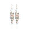 Retro ethnic fashionable earrings, European style, ethnic style