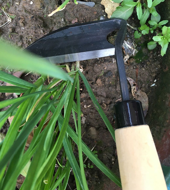 全钢弯把镰 歪把镰刀 园艺割草户外挖野菜韭菜 日式光口镰-阿里巴巴