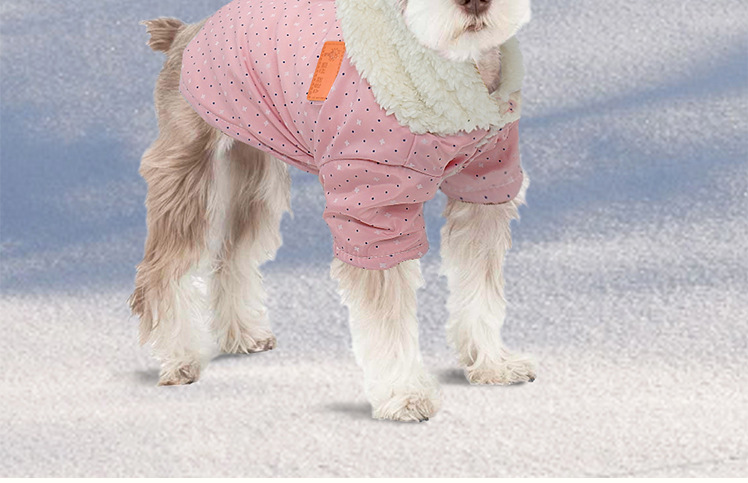 Pet Fashion Winter Outfit