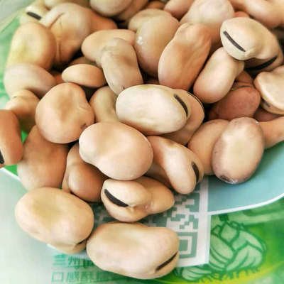 白皮干炒蚕豆炒货农产品油炸蚕豆兰花豆批发出口一件代发