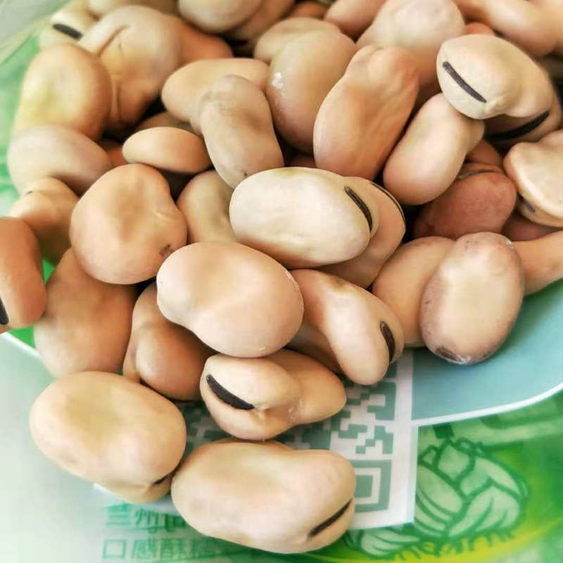 白皮干炒蚕豆炒货农产品油炸蚕豆兰花豆批发出口一件代发