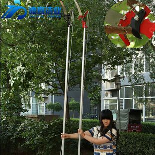 ��֦���߿��ժ��ժ����â���O����֦���L6����s�U�@�֘�֦����