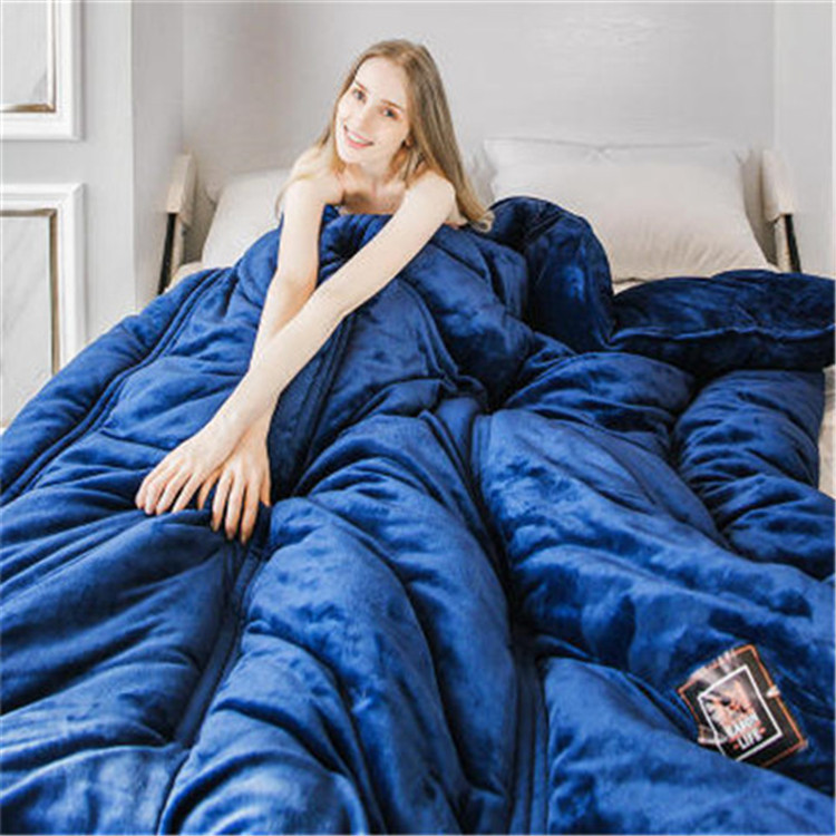 新品冬季簡約棉被雙面法萊絨加厚保暖被子芯純色絲棉被芯冬被批發