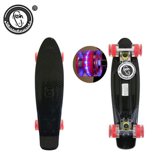 FISHС�~�� �l��pu݆���ϻ��� �������ֹ�·ˢ�ִ���Ư�ư�