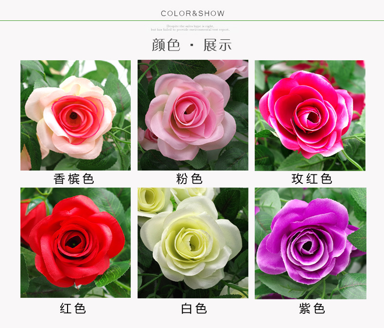 TB2Nu6xhVXXXXbZXpXXXXXXXXXX_!!