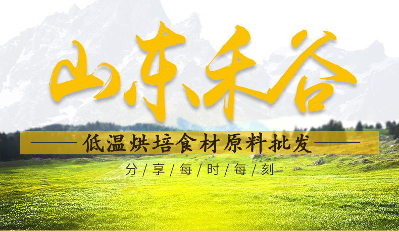 Freeze-Dried Ginkgo Nuts Bai Guo 500g Peeled Shelled Ginkgo Biloba Kernels for Cooking and Herbal Use key features
