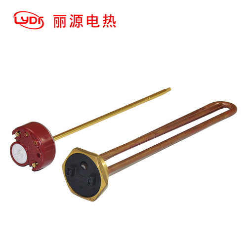 220V 1500W Ariston Water Heater, Copper Heating Element with Temperature Controller, Adjustable Heating Tube Temperature