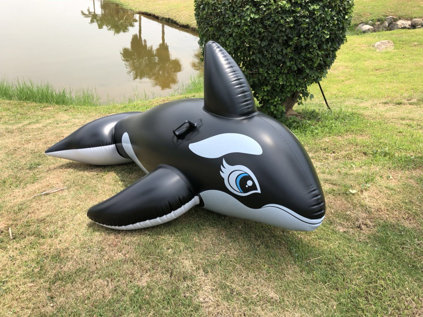 微信图片_20180804165519