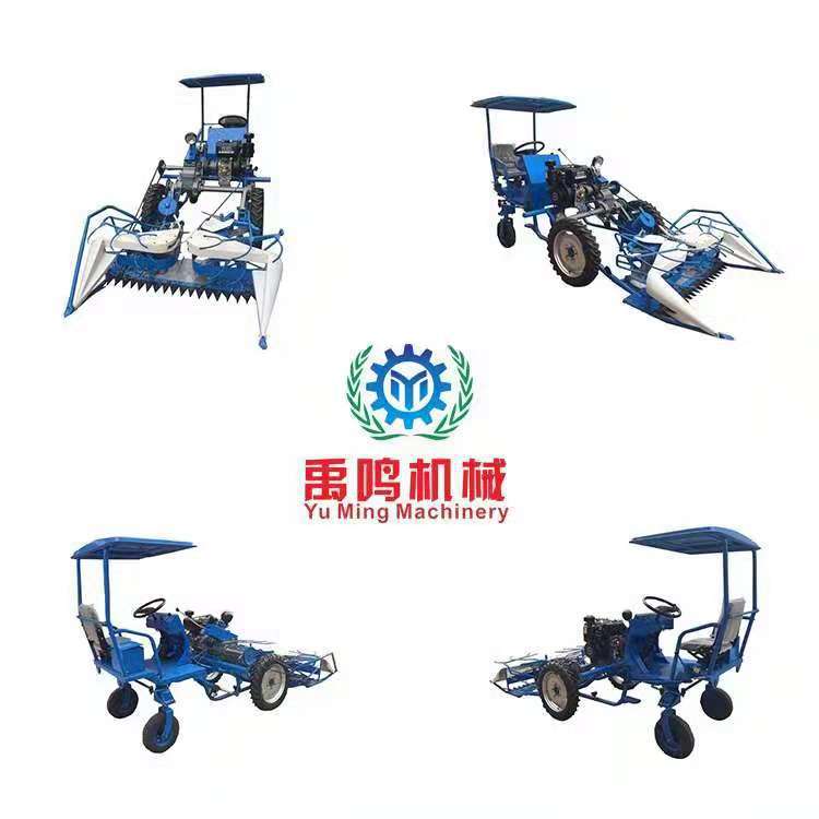 厂家供应芦苇收获机 小麦水稻割捆机 自走式芦苇收割打捆一体机