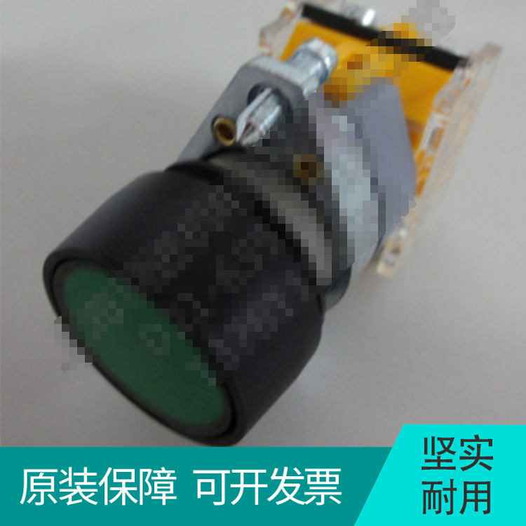 siemens APT [Shanghai ERGONG]Φ 22 Green Button LA39-A1-11/G