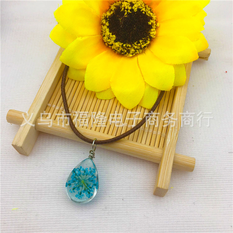 样品