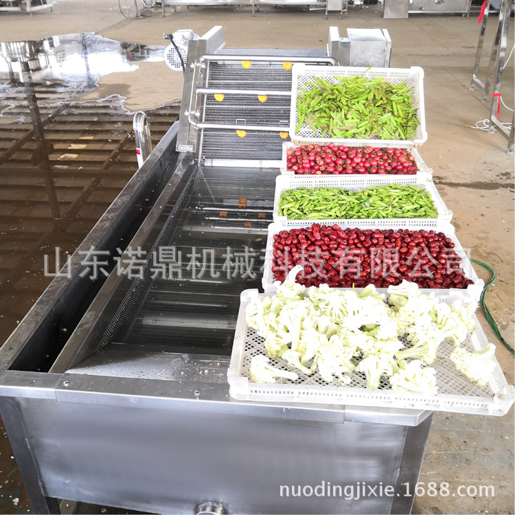 不锈钢山野菜清洗机 气泡翻浪果蔬清洗机 叶茎类蔬菜清洗机