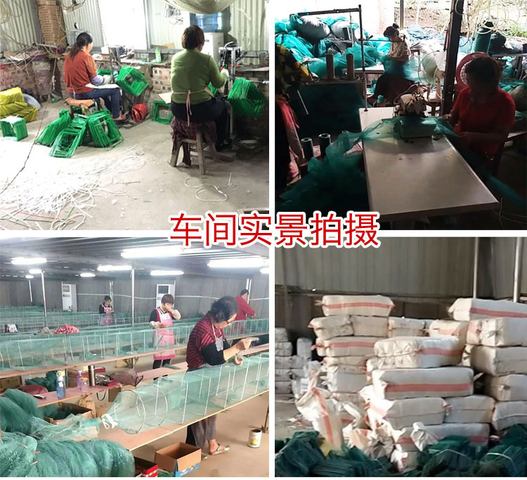 桐乡淡水鱼养殖：产业兴盛的秘密