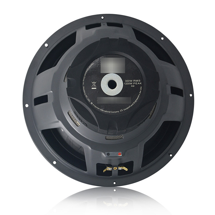 JBL GT5-S12 3.jpg