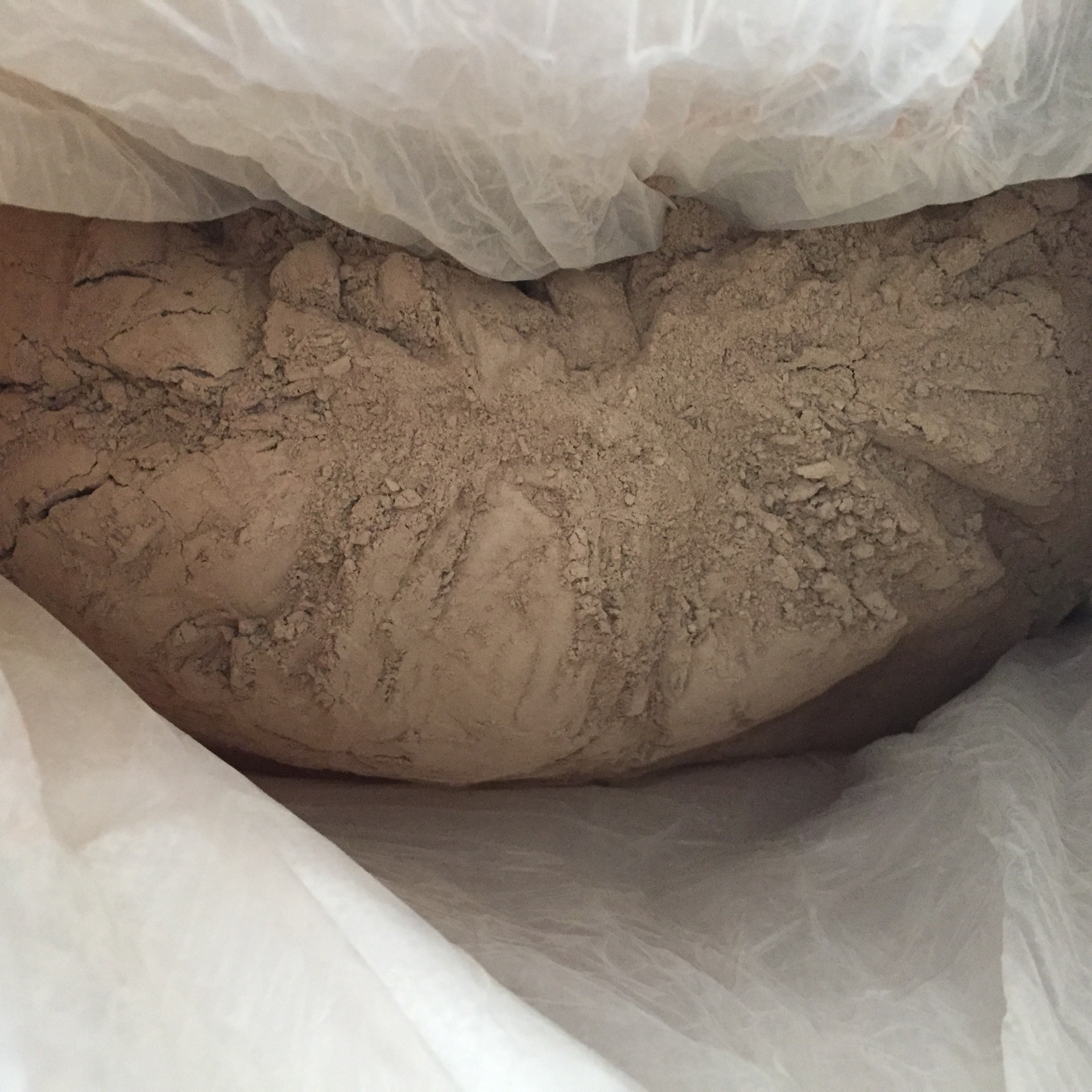 厂家现货短小芽孢杆菌 100亿活菌孢子微生物菌粉 短小芽孢杆菌