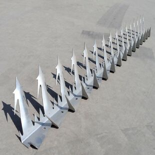 �V�ݬF؛��\��� ���^���I������� С�^�WУ�������������