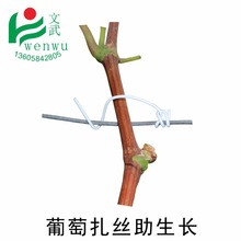������b����֦�����z���Ѽ������@�����zɽ���J�������F���z