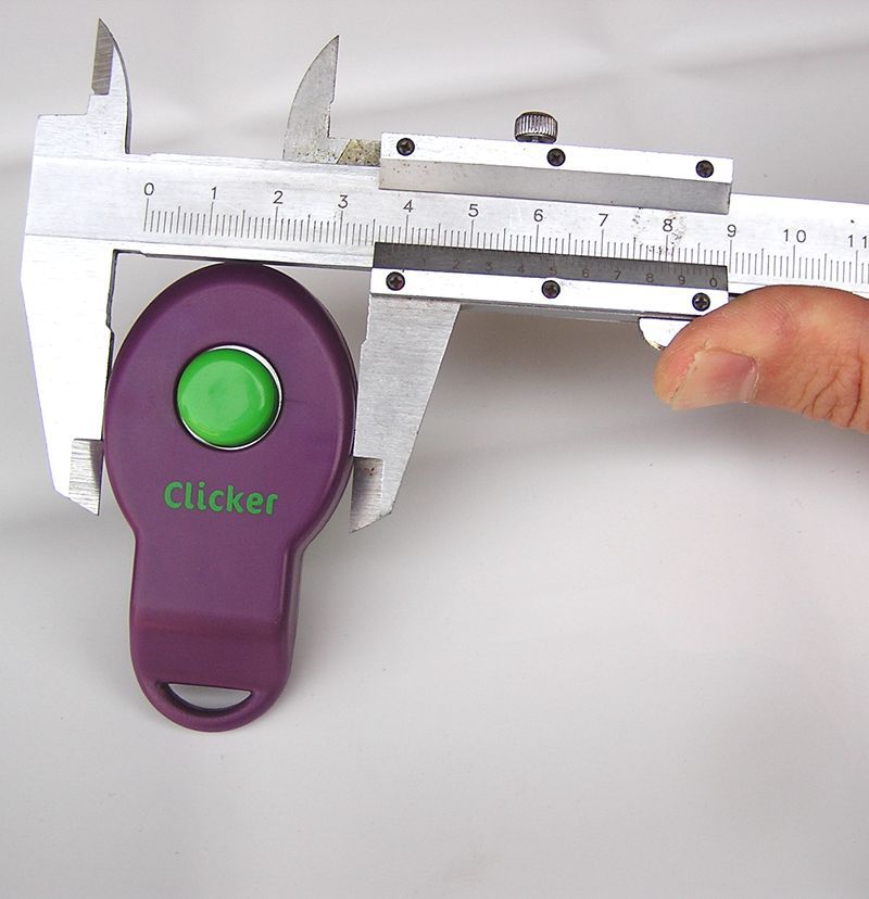 P103.JPG